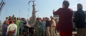 Schermata Lo squalo (1975) №2