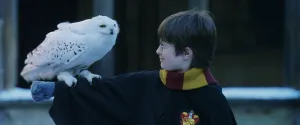Schermata Harry Potter e la pietra filosofale (2001) №6