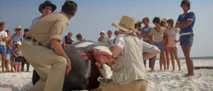 Schermata Lo squalo 2 (1978) №5