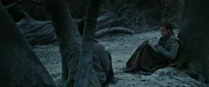 Schermata Harry Potter e i Doni della Morte - Parte 1 (2010) №6