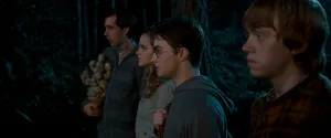 Schermata Harry Potter e l'Ordine della Fenice (2007) №4